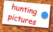 Hunting Pictures