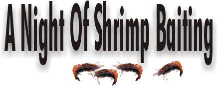 A Night Of Shrimp Baiting