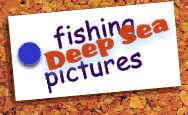 Deep Sea Fishing Photos