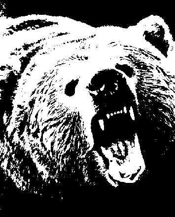 A Mad Bear